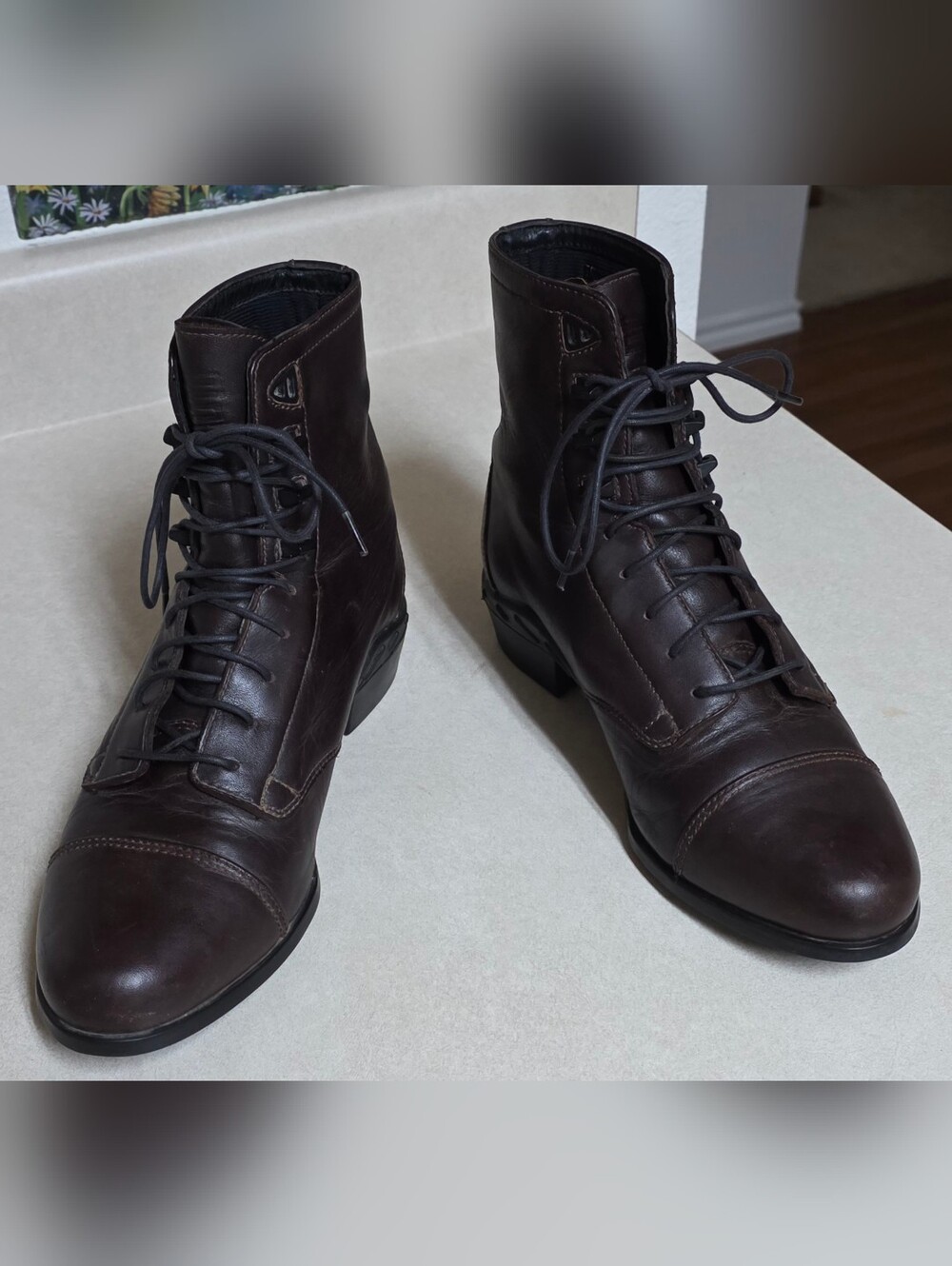 Ariat Women's Dark Brown Leather Lace-Up Paddock Boots